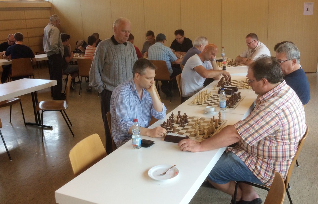 Die Profis und der Kibitz