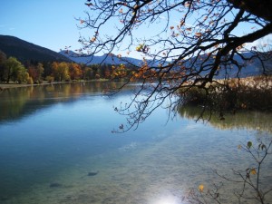 Impression vom See 1